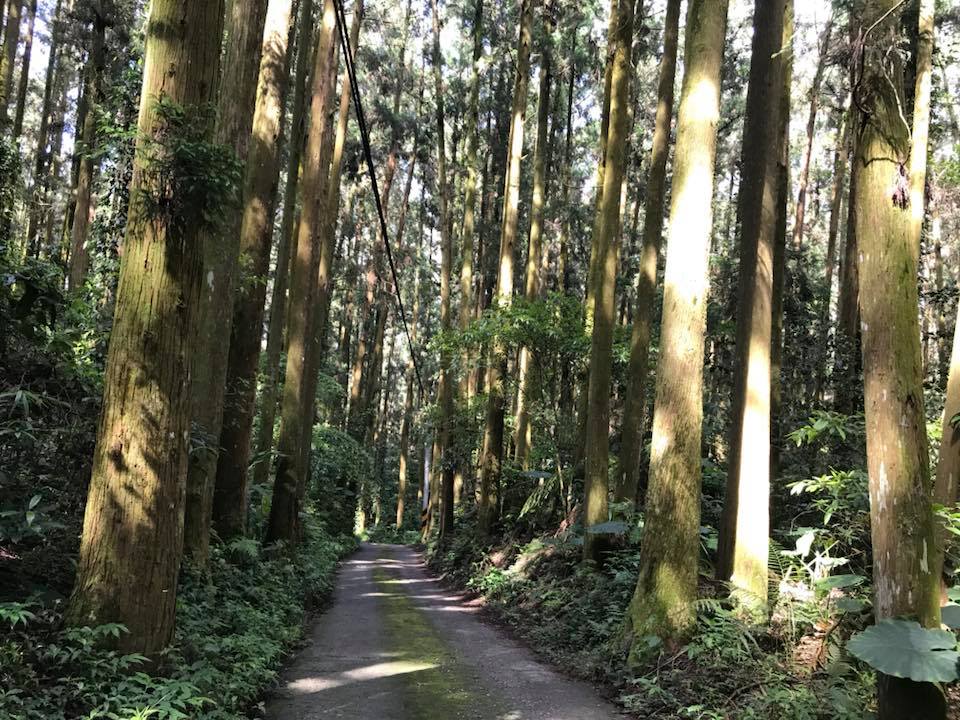 31934205_1910744989215748_8796206538193633280_n