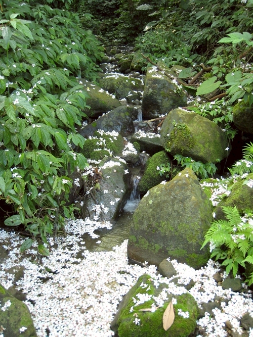 LINE_ALBUM_南庄民宿_250806_3