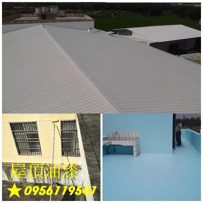 鐵皮屋頂防水,屋頂防水,頂樓防水,頂樓PU防水,屋頂油漆,頂樓油漆,鐵皮屋頂油漆,鐵皮屋頂噴漆,屋頂防水漆