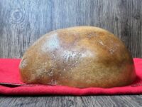 b20a82a5-a1a1-4dde-9a02-09378f391101