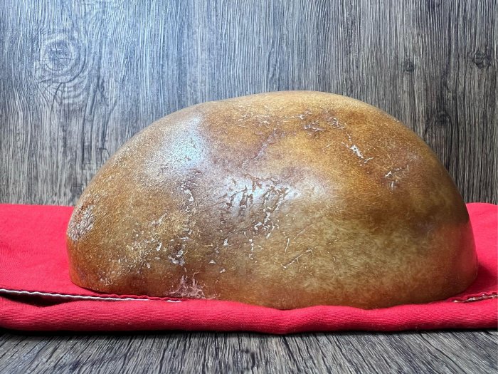 b20a82a5-a1a1-4dde-9a02-09378f391101