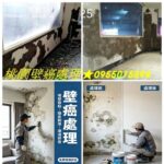 桃園壁癌,桃園壁癌處理,桃園壁癌推薦,壁癌處理桃園,,桃園壁癌處理,桃園壁癌推薦,桃園壁癌處理費用,壁癌處理桃園,桃園壁癌油漆,桃園壁癌費用,桃園壁癌處理費用行情,桃園壁癌估價,桃園屋頂防水,桃園防水推薦,桃園防水工程,桃園防水工程推薦,桃園防水公司推薦
